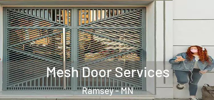 Mesh Door Services Ramsey - MN