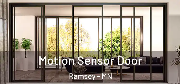  Motion Sensor Door Ramsey - MN